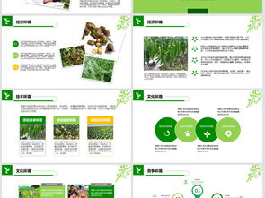 2018年“互聯(lián)網(wǎng)+農(nóng)副產(chǎn)品”市場(chǎng)推廣企業(yè)營銷策劃案模板與素材指南
